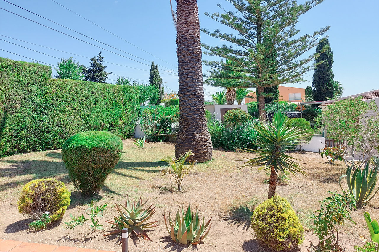Serviços de paisagísmo, plantas e relvados, naturais ou artificiais. em Lagos no Algarve