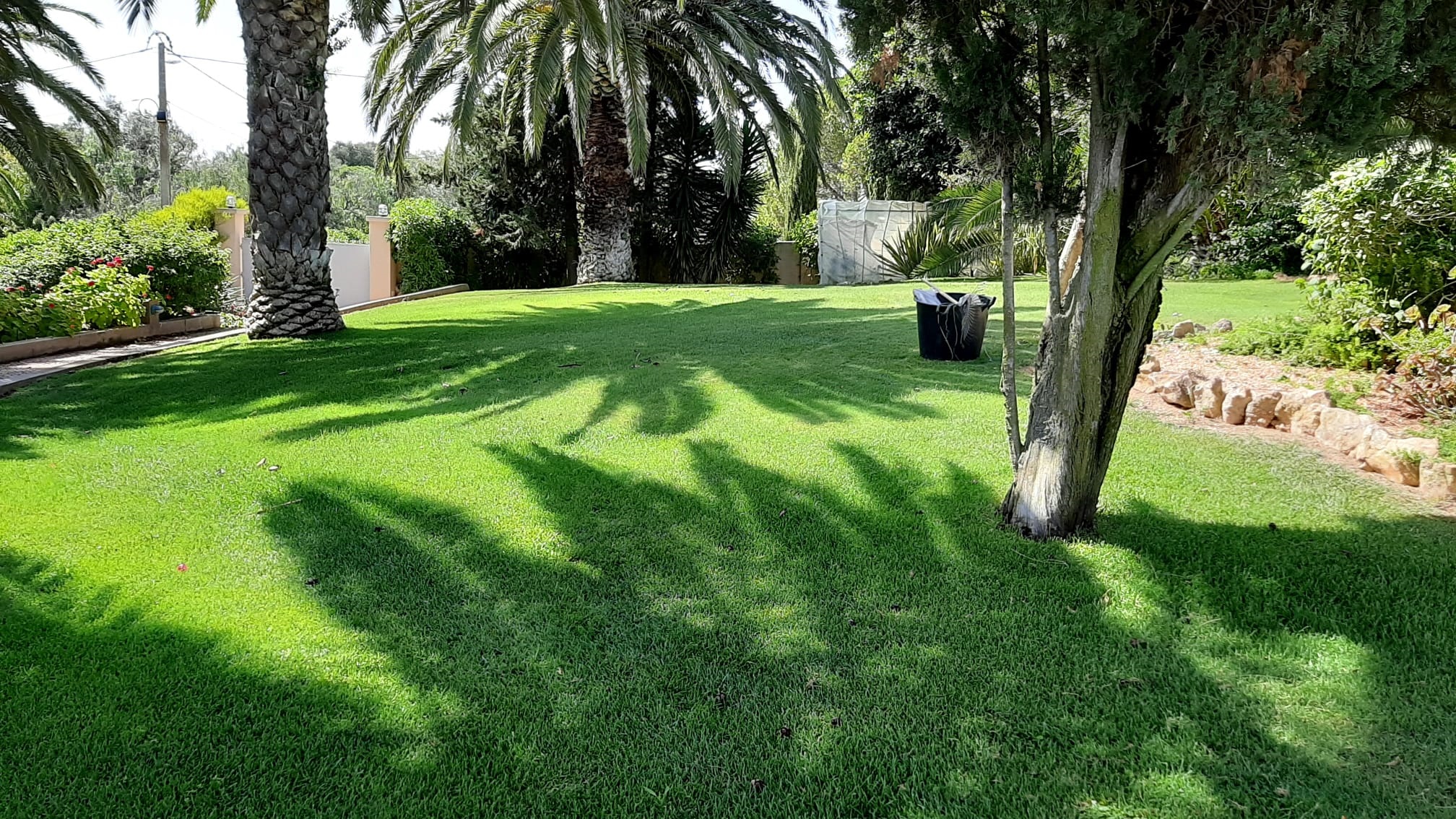 Serviços de construção de jardins, manutenção e conservação de jardins, relvado natural ou sintético, sistemas de rega e controlo de pragas - Quarto Personalizado - Lagos, Algarve